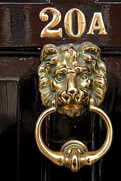 Door knocker, lion's head, Rye, county of Kent, England, Europe