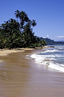 Playa Uva, tropical beach with palm trees near Puerto Viejo de Talamanca, national park, Refugio Nacional de Vida Silvestre Gandoca Manzanillo on the Caribbean coast, Caribbean, Costa Rica, Central America