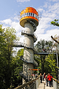 Tree tower with tree house on the Baumkronenpfad tree top walk in the Hainich National Park, Thuringia, Germany, Europe