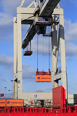 Container loading, container bridge, container crane, container terminal Burchhardkai, Harbor, Hamburg, Germany