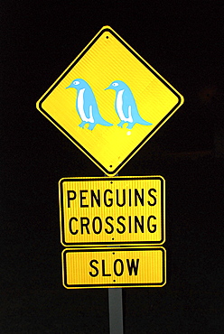 Street sign, penguins crossing, South Island, New Zealand