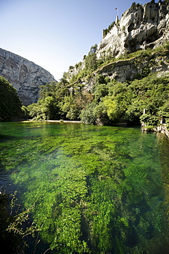 Sorgue River close to its source, near Fontaine de Vaucluse, Provence, France, Europe