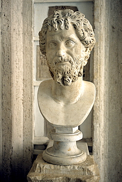 Ancient marble bust of Emperor Septimius Severus, gallery, Capitoline Museums, Palazzo Nuovo, Capitoline Hill, Rome, Lazio, Italy, Europe