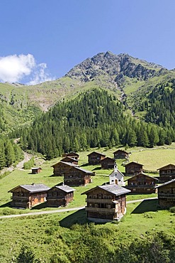 Oberstaller alpine pasture, Innervillgraten, East Tyrol, Austria, Europe