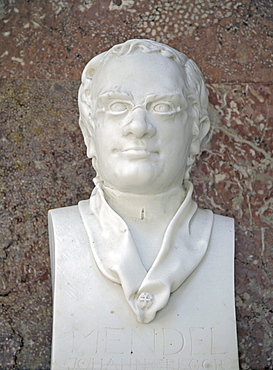 Bust of Gregor Mendel, Austrian Augustinian monk and naturalist