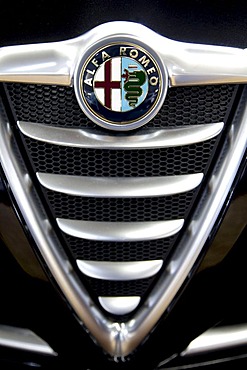 Alfa Romeo emblem on a car