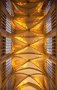 Ceiling of St. Michael and Gudula Cathedral, interior view, Brussels, Belgium, Europe