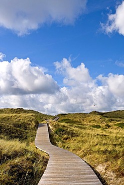 Wooden walkway leading through the dunes near Kampen, North Frisia, Schleswig-Holstein, Germany, Europe