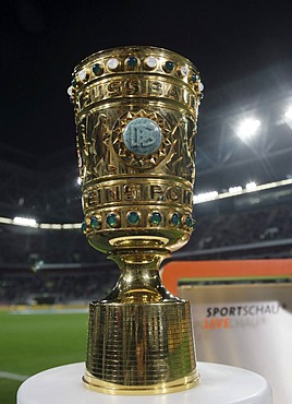 The DFB-Pokal, German Football-Federation Cup in the LTU-Arena football stadium, Duesseldorf, North Rhine-Westphalia, Germany, Europe