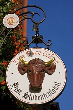 Zum Roten Ochsen, historic student's pub, inn sign, Heidelberg, Baden-Wuerttemberg, Germany