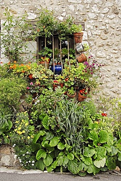 Flowers in front of window, Saint-Paul de Vence, Alpes-Maritimes, Provence-Alpes-Cote d'Azur, Southern France, France, Europe