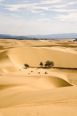 Sand desert on the Istmus de Medanos, excursion destination, Paraguana Peninsula, Venezuela, South America