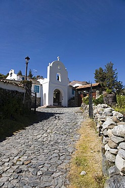 Driveway to Los Frailes monastery hotel, Santo Domingo, High Andes, Venezuela, South America