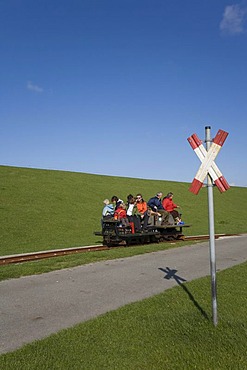 Holiday guests being driven from Luettmoorsiel to Hallig Nordstrandischmoor in a freight wagon, North Sea, Northern Frisia, Schleswig-Holstein, Germany, Europe