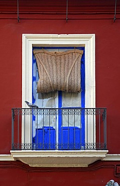 Window and balcony in Cordoba, Andalusia, Spain, Europe