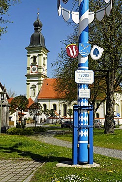 Maypole in front of St. Martin's Church, Langengeisling, district of Erding, Upper Bavaria, Germany, Europe