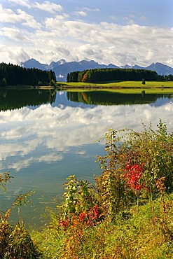 Forggensee lake in front of the Thannheim mountains, Bavarian Swabia, Bavaria, Germany Europe