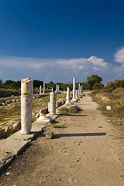 Row of columns, roman ruins in Side, Turkish Riviera, Turkey, Asia