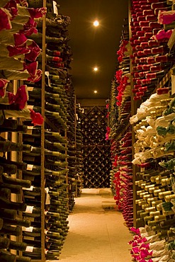 Wine cellar of the Cuvee du Vatican vineyard, Chateauneuf du Pape, Provence, France, Europe