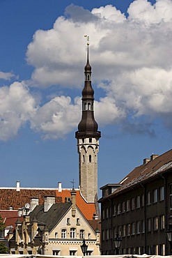 Town hall tower, Tallinn, Estonia, Baltic States