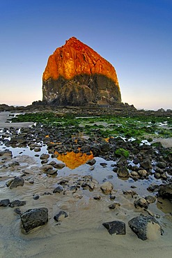 Famous "Haystack Rock" monolith, solidified lava rock at Cannon Beach, tourist attraction, Clatsop County, Oregon, USA, North America