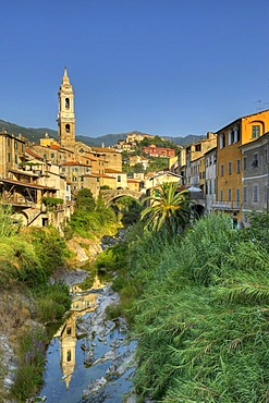 San Tomaso parish church in Dolcedo with the Ponte Grande Bridge over the Prino River, Riviera dei Fiori, Liguria, Italy, Europe