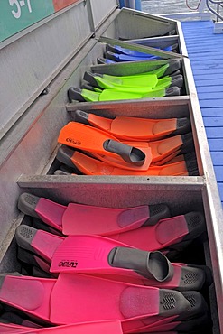 Flippers for divers and snorkellers at a diving station, Great Barrier Reef, Australia