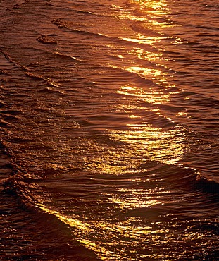 Golden light reflected in water, sunset