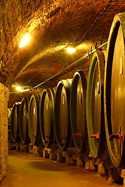 Barrels of wine in a wine cellar, Cejkovice, Czech Republic, Europe