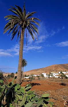 Mountain village of Toto on Fuerteventura, Canary Islands, Spain, Europe