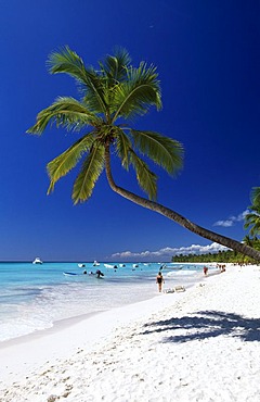 Palm beach on Saona Island, Parque Nacional del Este, Dominican Republic, Caribbean