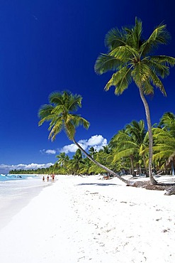 Palm beach on Saona Island, Parque Nacional del Este, Dominican Republic, Caribbean