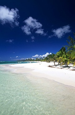 Palm beach, Manojuan fishing village on Saona Island, Parque Nacional del Este, Dominican Republic, Caribbean