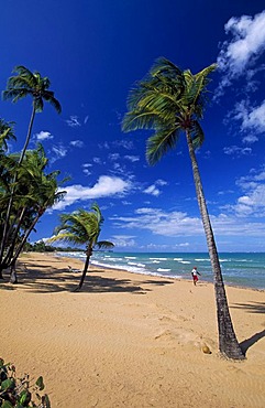 Beach with palm trees, Coco Beach, Rio Grande, Puerto Rico, Caribbean