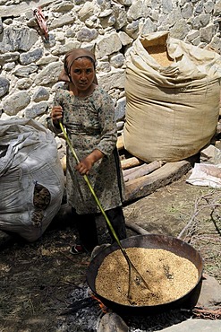 Barley is dried on the fire, roasted, preserved as a winter stock, oasis village Diskit, Nubra valley, Ladakh, India, Himalayas