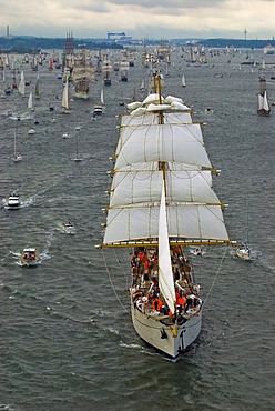 Winderjammer Parade at Kieler Woche 2008 with German sail training vessel and command ship Marine Gorch Fock and further traditional sailing vessels, Kiel Fjord, Schleswig-Holstein, Germany, Europe