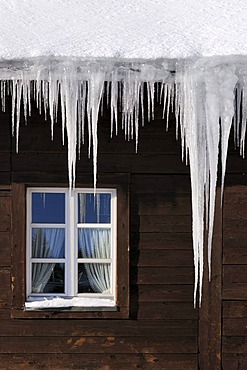 Icicles hanging from a roof gutter