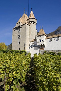 Chateau d'Aigle in the vineyards close to Lausanne, Kanton Waadt, Switzerland, Europe