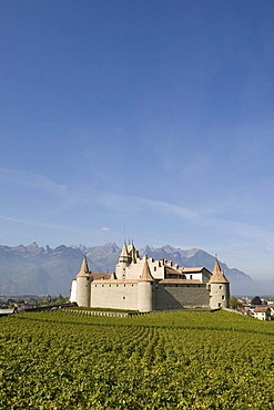 Chateau d'Aigle in the vineyards close to Lausanne, Kanton Waadt, Switzerland, Europe