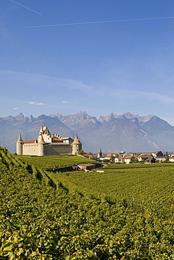 Chateau d'Aigle in the vineyards close to Lausanne, Kanton Waadt, Switzerland, Europe