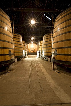 Oak barrels filled with port wine of Graham's Port Wine House on Rua Rei Ramiro, Vila Nova Gaia, Porto, UNESCO World Cultural Heritage Site, Portugal, Europe - Propertyrights www.symington.com JD@symington.com