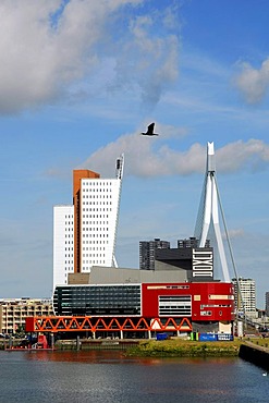 Modern architecture on the waterside: the red Luxor Theatre, on its left the Belvedere telecommunication building KPN Telecom and the Erasmusbrug bridge behind. Wilhelminapier, Wilhelminaplein, Rijnhaven, Rotterdam, South-Holland, Zuid-Holland, Nederland,