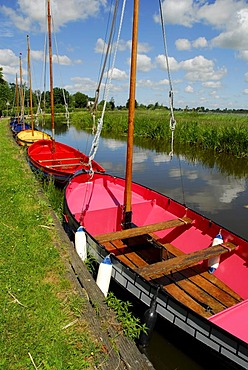 Colourful boats in the green landscape between Gouda, Bodegraven, Reeuwijk and Oudewater, Reeuwijkse Plassen, South-Holland, Zuid-Holland, Nederland, The Netherlands