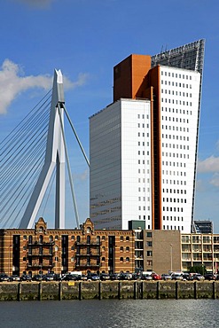 Modern architecture by the waterside: the Belvedere building of the telephone company KPN Telecom and to the left of it the Erasmusbrug bridge, Wilhelminapier, Wilhelminaplein, Rijnhaven, Rotterdam, South Holland, the Netherlands, Europe