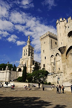 The Popes' Palace in Avignon, Provence, France, Europe