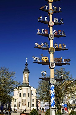 Maypole and church, Traunstein town square, Chiemgau, Bavaria, Germany, Europe