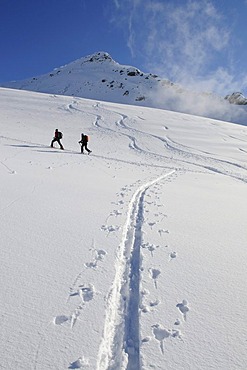 Ski hikers on a tour up Mount Brechhorn, Spertental Valley, Tyrol, Austria, Europe