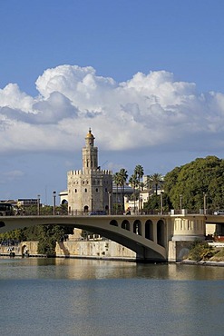 Torre del Oro, Gold Tower, Sevilla, Andalusia, Spain, Europe