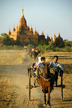 Tourists in horse carriages, Buddhist Tempel, Bagan, Birma, Burma, Myanmar, South Asia