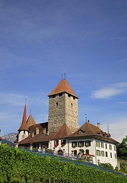 Spiez Castle in Spitz by Lake Thun, Niedersimmental, canton of Berne, Switzerland, Europe